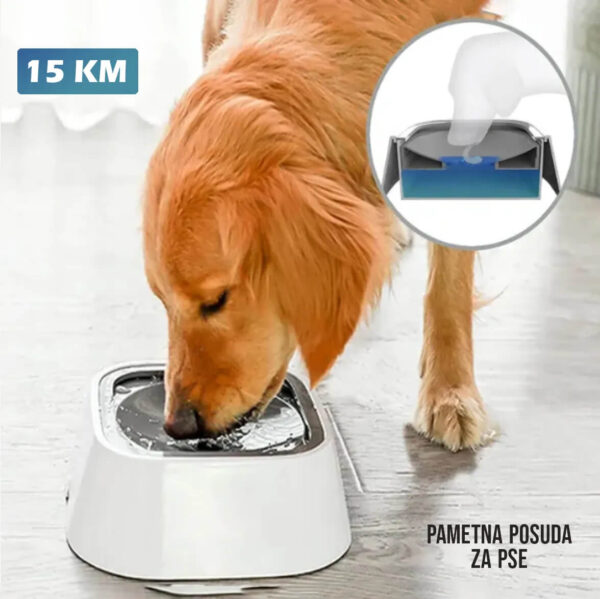 Pametna posuda za pse kućne ljubimce