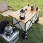 Potpuno sklopiva kolica sa daskom - Image 5