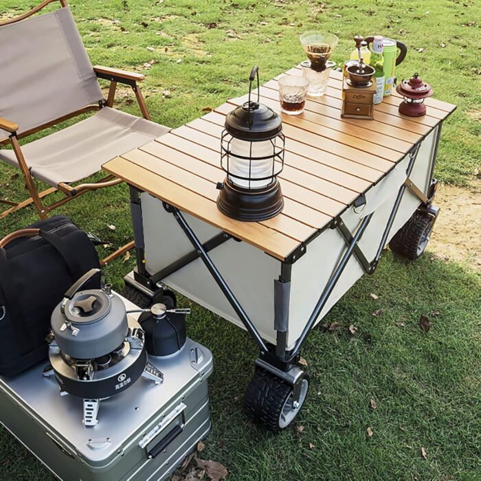 Potpuno sklopiva kolica sa daskom - Image 5