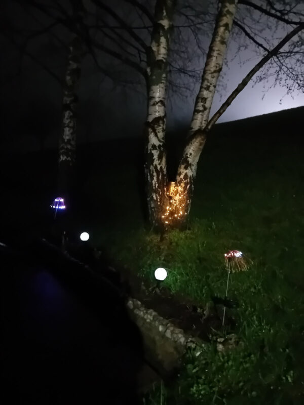 Image #2 from Anonimno