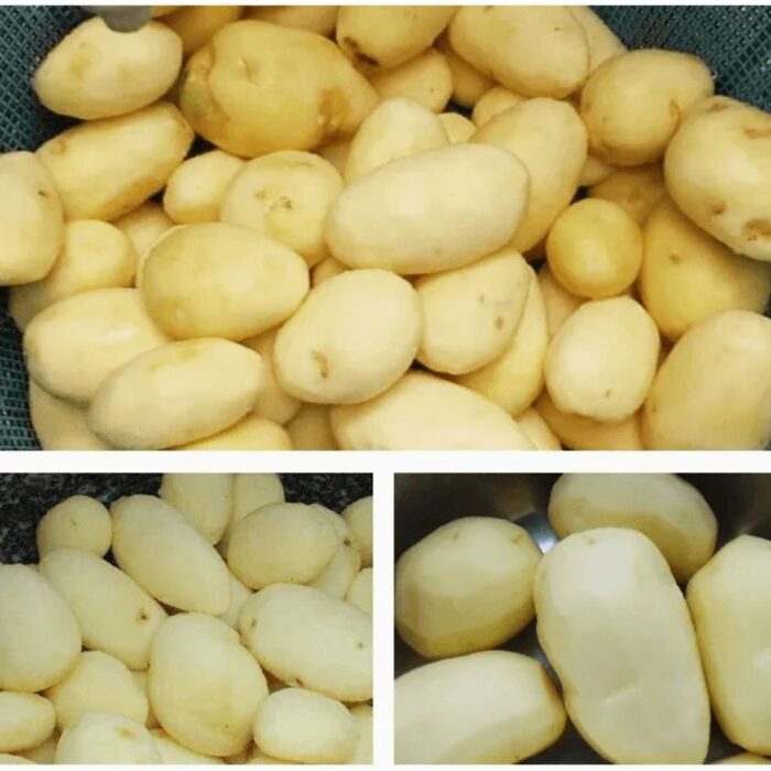 Mašina za guljenje krompira 15L - Image 4